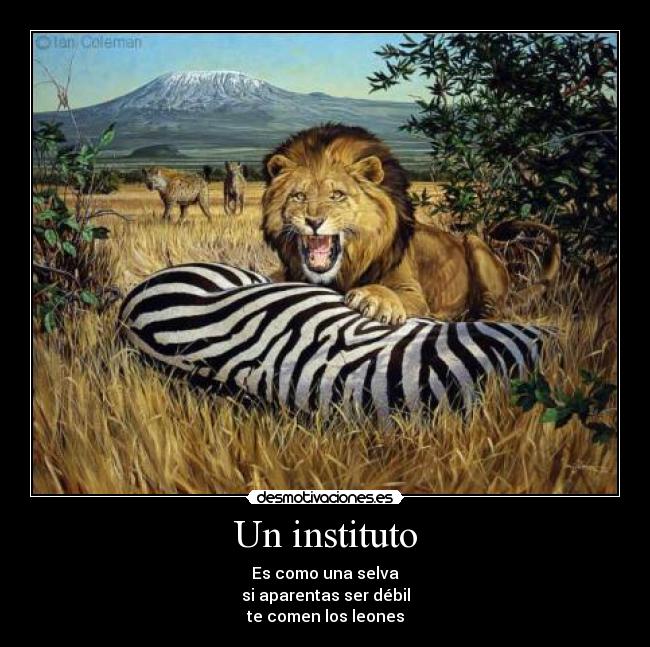 Un instituto - Es como una selva
si aparentas ser débil
te comen los leones