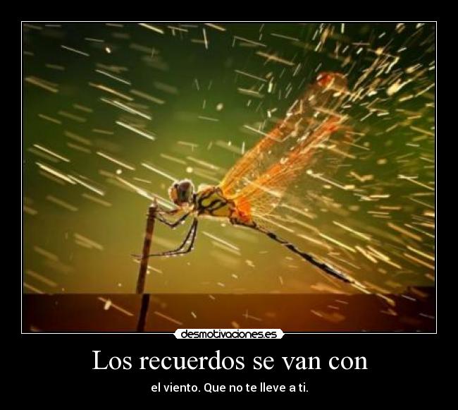 Los recuerdos se van con -