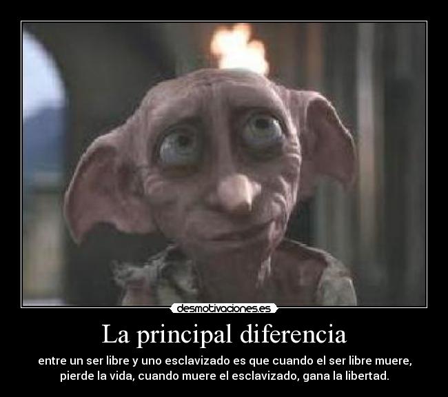 La principal diferencia - 