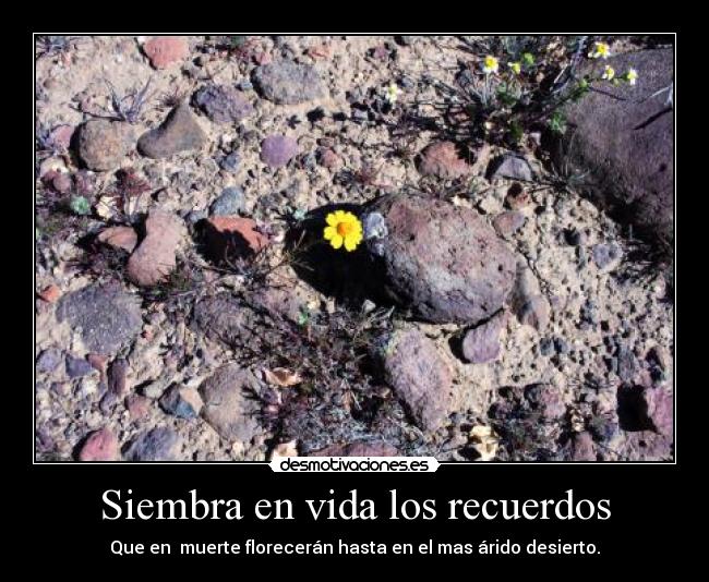 Siembra en vida los recuerdos -