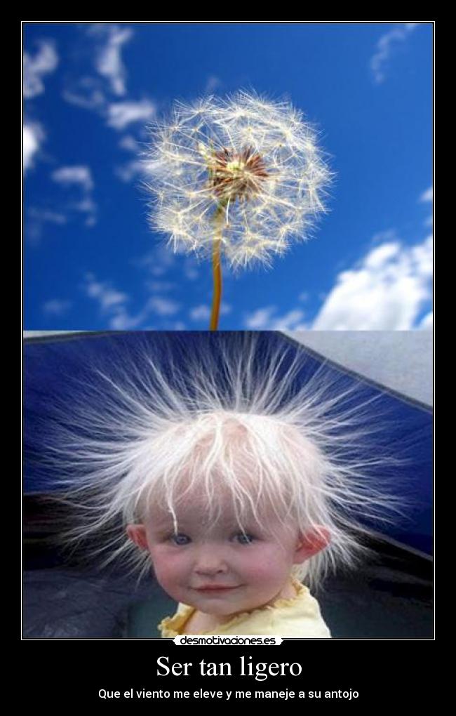 Ser tan ligero - Que el viento me eleve y me maneje a su antojo