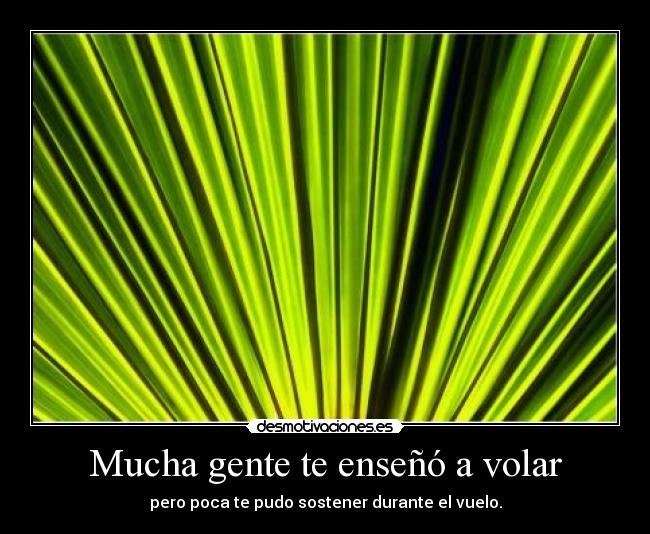 carteles amistad rara desmotivaciones