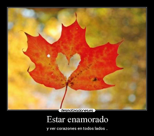 Estar enamorado - y ver corazones en todos lados ..