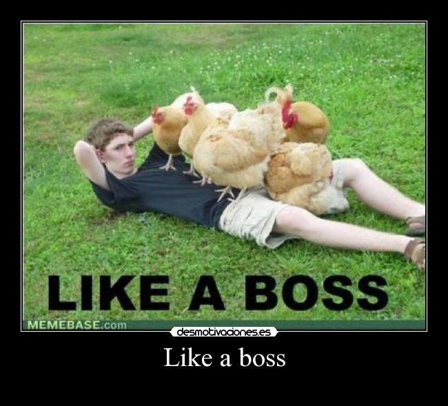 Like a boss - 