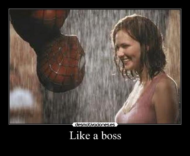 Like a boss - 