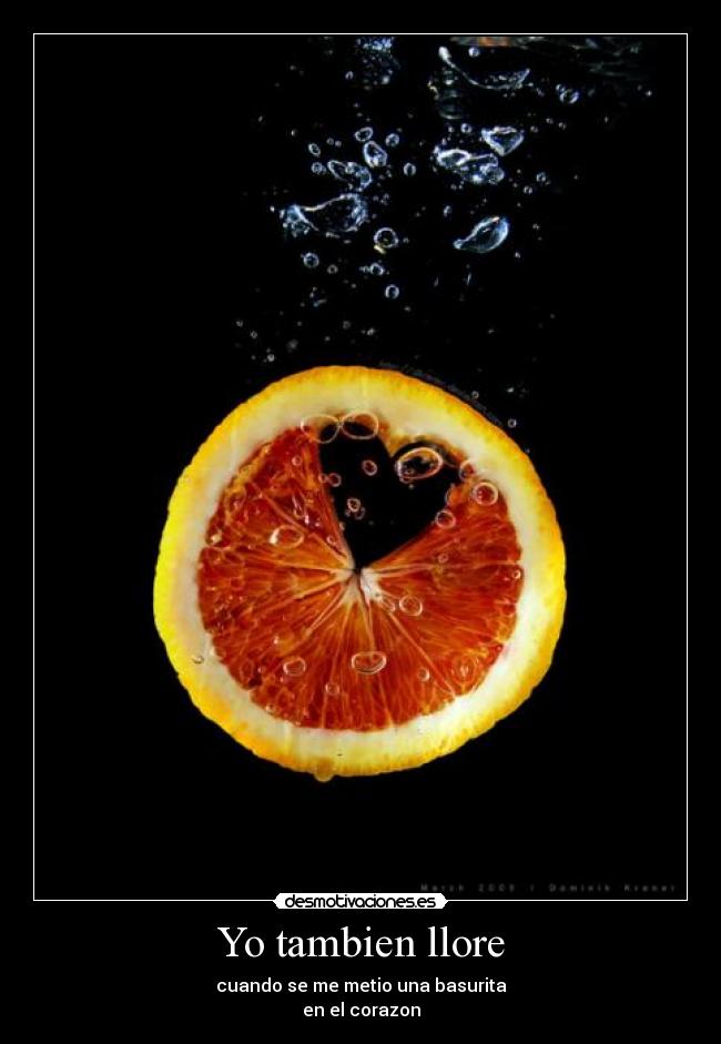 Yo tambien llore -