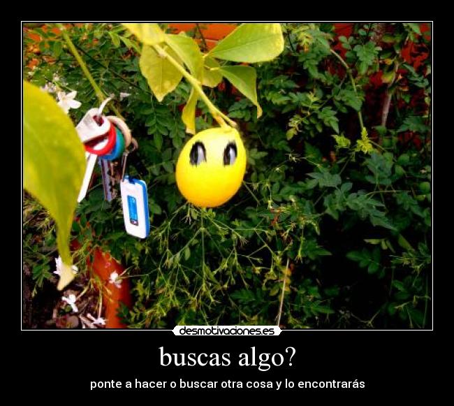 buscas algo? - 