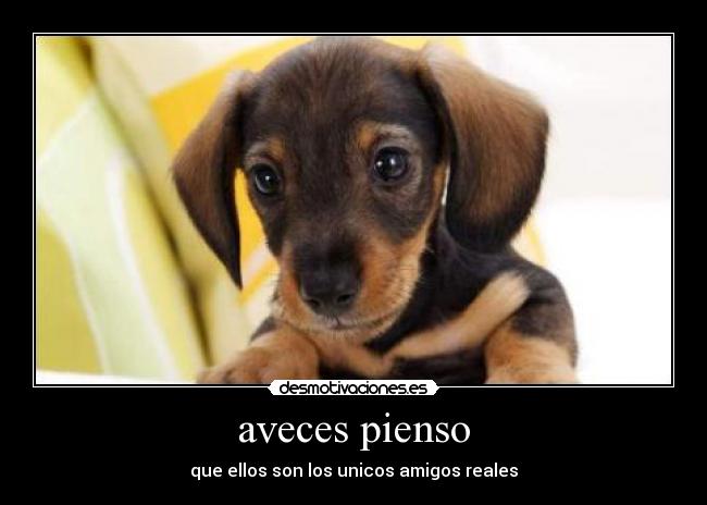 aveces pienso -