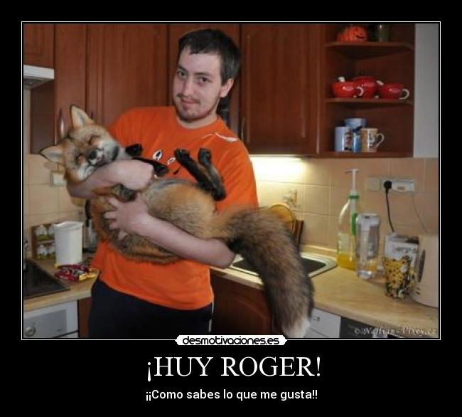 ¡HUY ROGER! - 