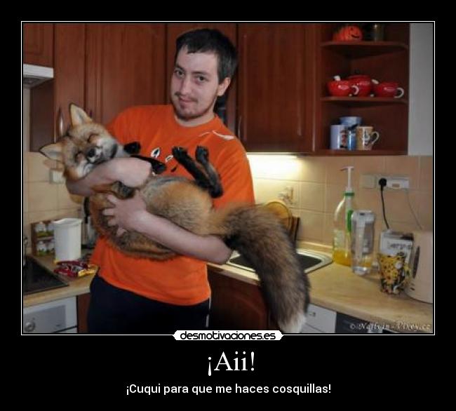 ¡Aii! - 