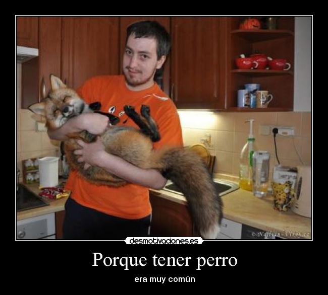 Porque tener perro - 