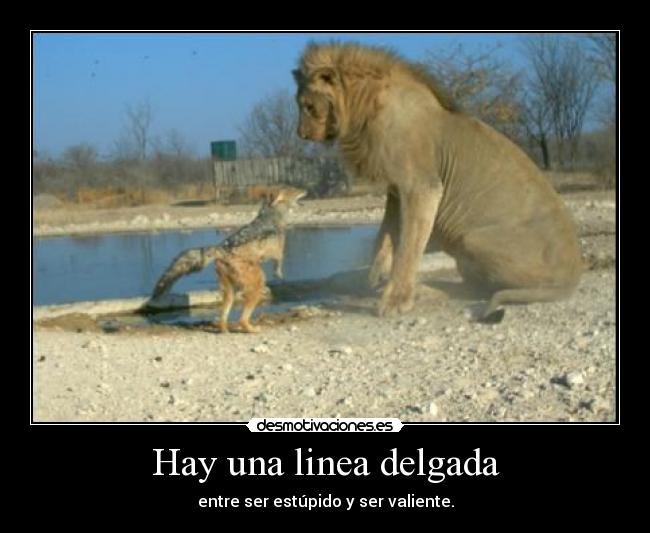 Hay una linea delgada - 