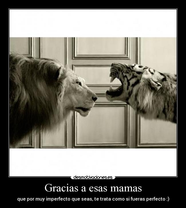 Gracias a esas mamas - 