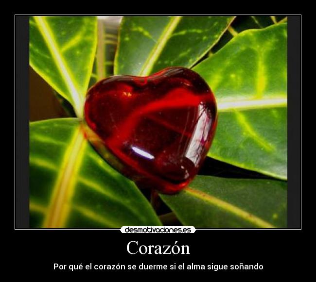 carteles corazon rubia111 desmotivaciones