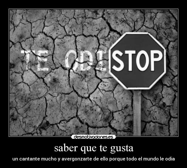 saber que te gusta - un cantante mucho y avergonzarte de ello porque todo el mundo le odia