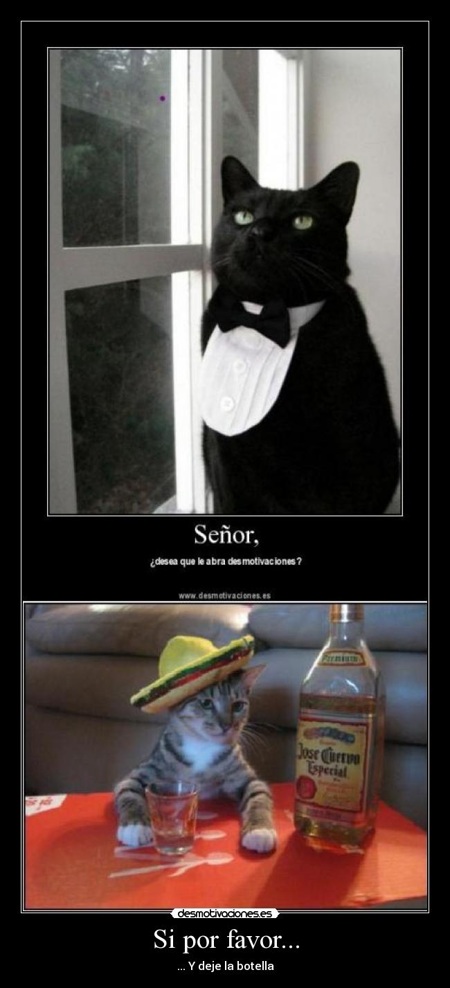 Si por favor... - ... Y deje la botella