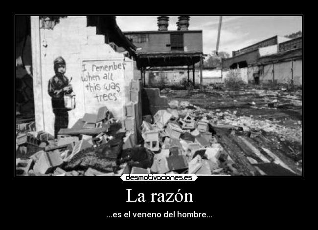 carteles dreadk sabe deja entender desmotivaciones