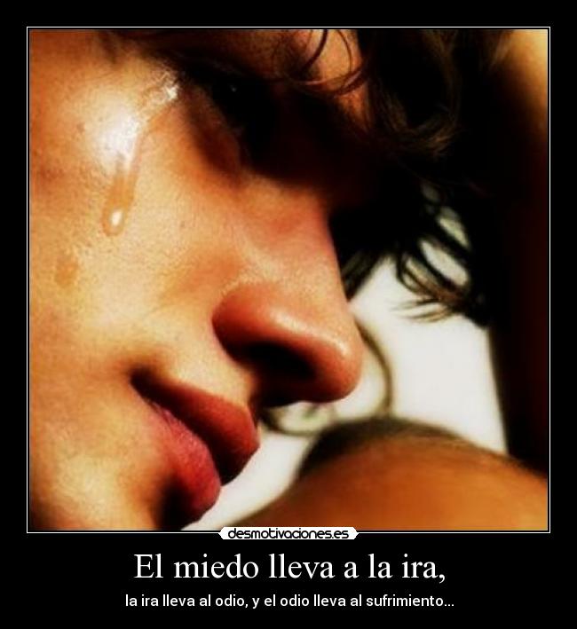 El miedo lleva a la ira, - la ira lleva al odio, y el odio lleva al sufrimiento...