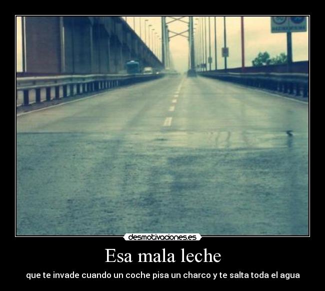 Esa mala leche - que te invade cuando un coche pisa un charco y te salta toda el agua