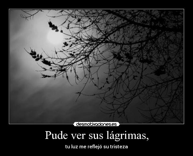 carteles dreadk ahora comere paneton desmotivaciones