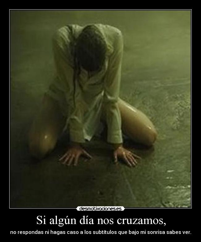 Si algún día nos cruzamos, - 