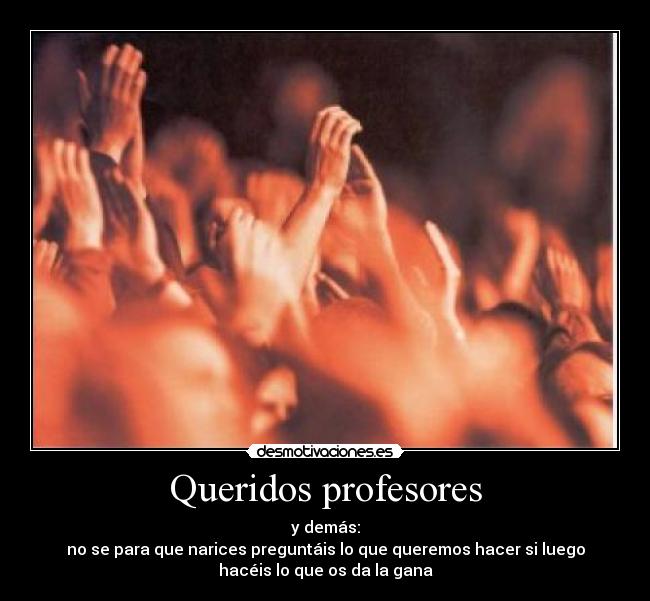 Queridos profesores - 