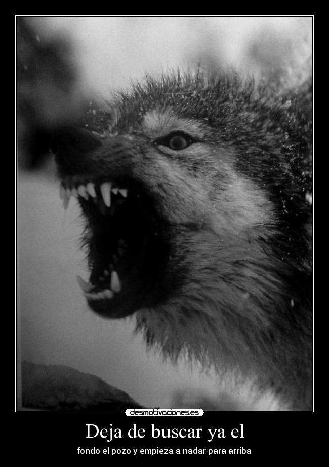 Deja de buscar ya el - fondo el pozo y empieza a nadar para arriba