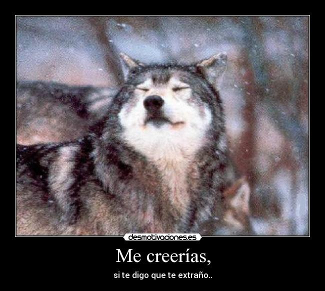 Me creerías, - 