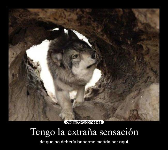 Tengo la extraña sensación - 