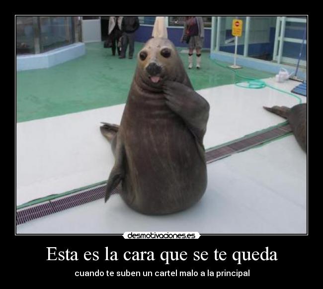 Esta es la cara que se te queda - 