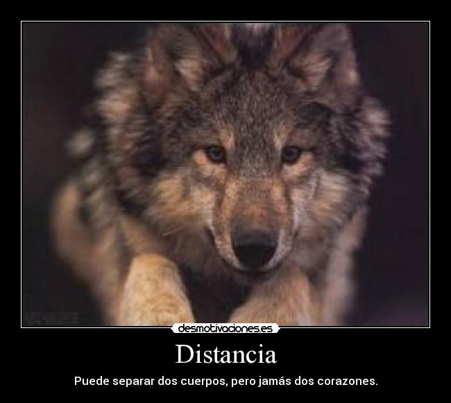 Distancia -