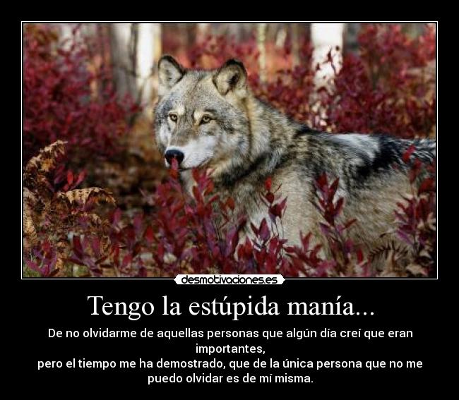 Tengo la estúpida manía... - De no olvidarme de aquellas personas que algún día creí que eran
importantes,
pero el tiempo me ha demostrado, que de la única persona que no me
puedo olvidar es de mí misma.