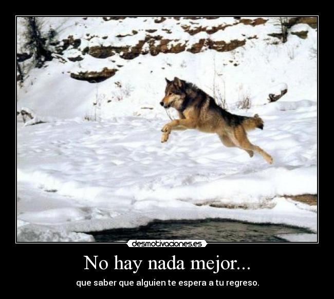 No hay nada mejor... - que saber que alguien te espera a tu regreso.