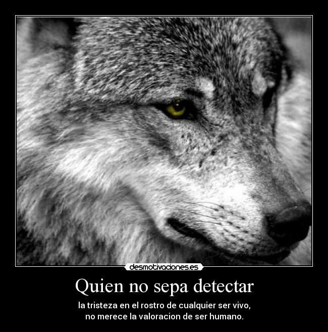 Quien no sepa detectar -