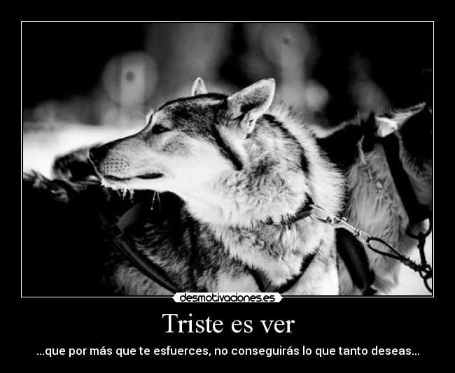 carteles dreadk como cambias las cosas minuto desmotivaciones