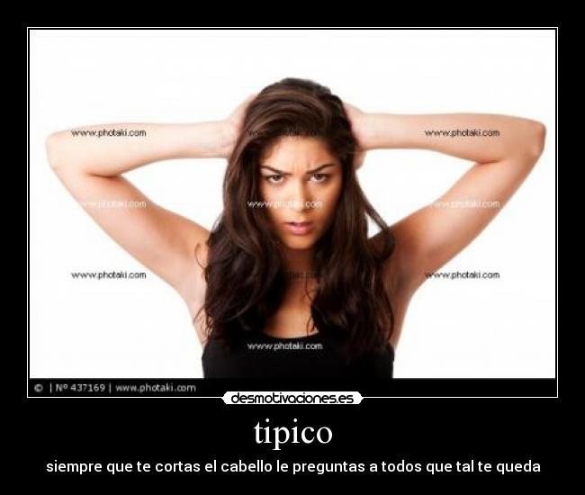 tipico - 