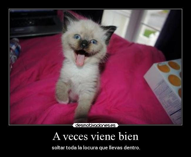 A veces viene bien - soltar toda la locura que llevas dentro.