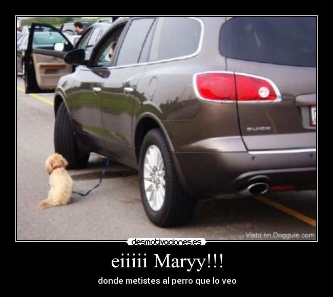 eiiiii Maryy!!! - donde metistes al perro que lo veo