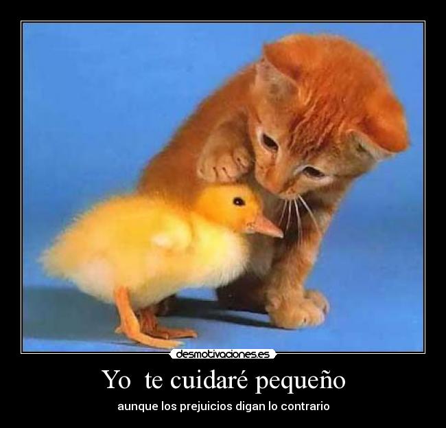 Yo  te cuidaré pequeño - aunque los prejuicios digan lo contrario