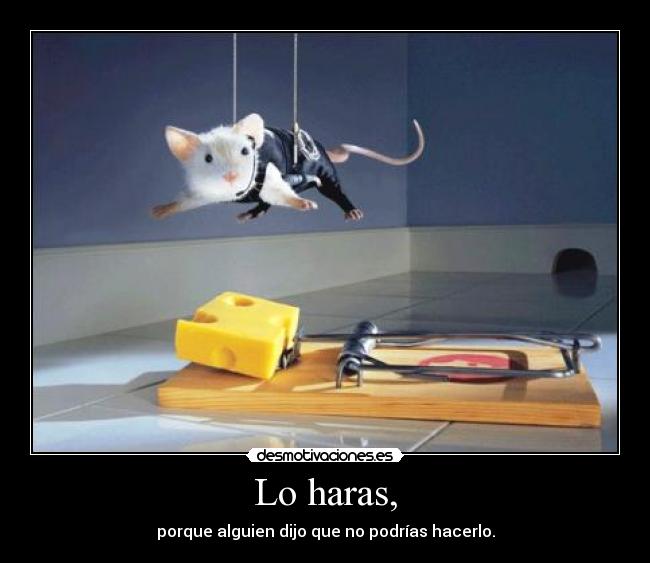Lo haras, - porque alguien dijo que no podrías hacerlo.