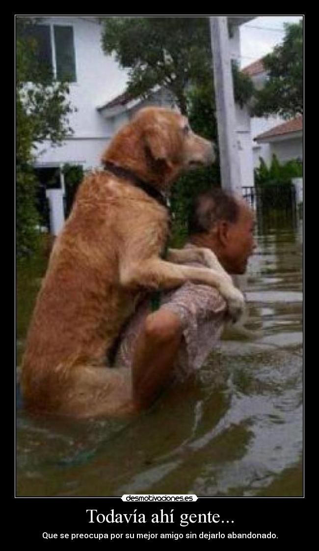 Todavía ahí gente... - Que se preocupa por su mejor amigo sin dejarlo abandonado.
