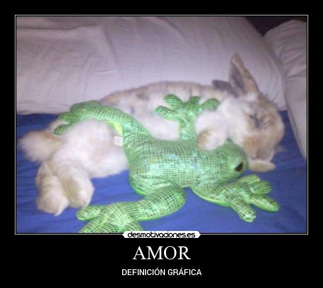 AMOR - 