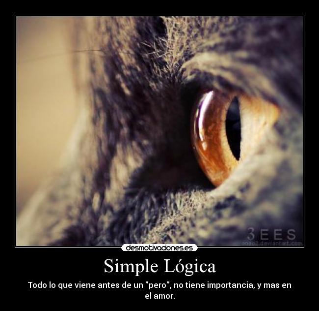 Simple Lógica - Todo lo que viene antes de un pero, no tiene importancia, y mas en el amor.