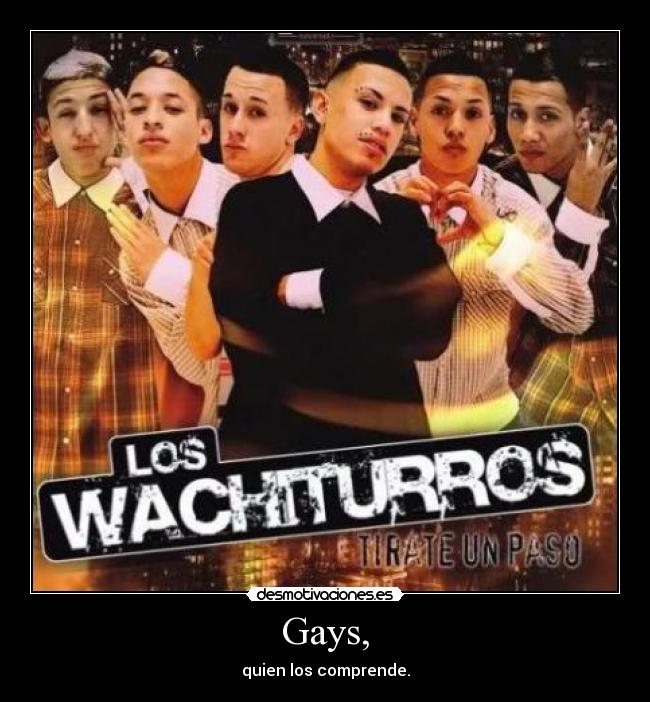 Gays, - quien los comprende.