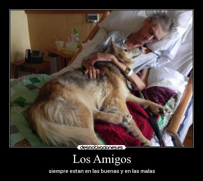 Los Amigos -