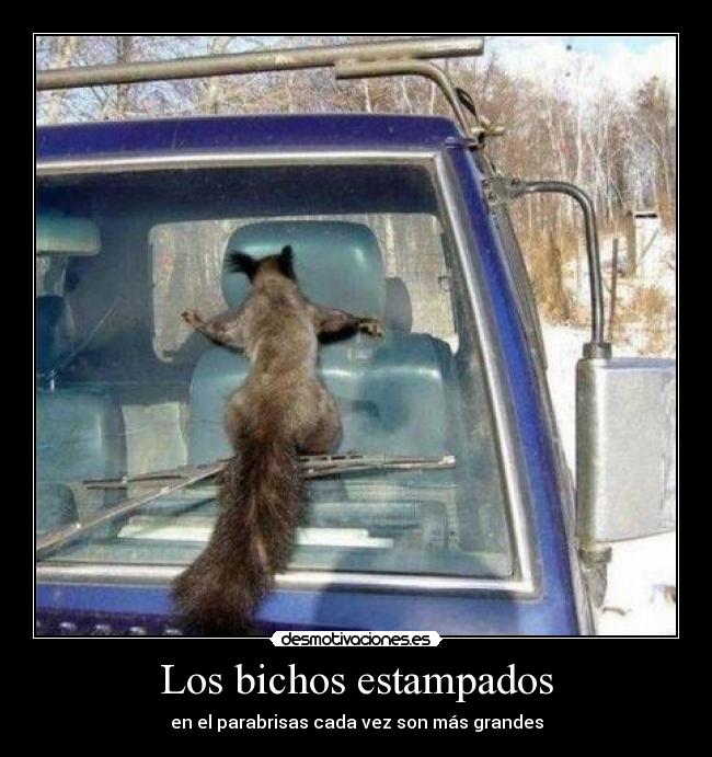 carteles eften cambio climatico contaminacion mutan ardillas asesinas desmotivaciones