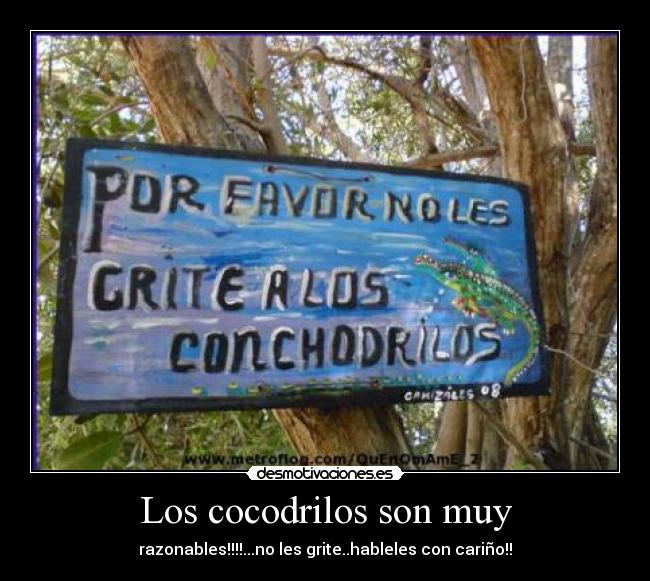 carteles cocodrilos desmotivaciones