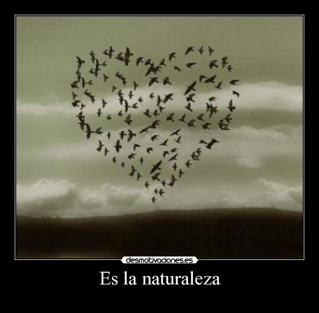 Es la naturaleza - 