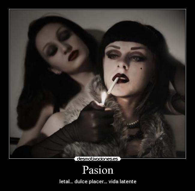carteles pasion desmotivaciones