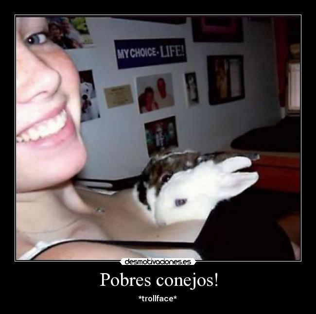 Pobres conejos! - 